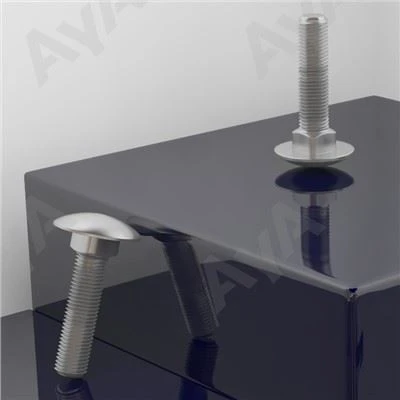 Stainless Steel Carriage Bolt